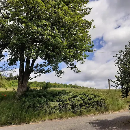 Rothaargebirge Appartement