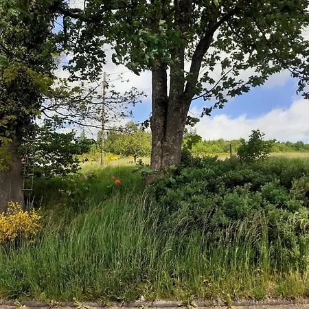 Rothaargebirge - Boutique #9