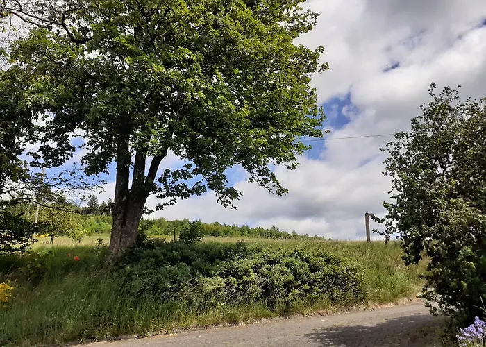 Rothaargebirge Lejlighed